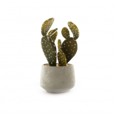ARTIFICIAL CACTUS