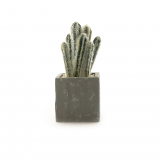 ARTIFICIAL CACTUS