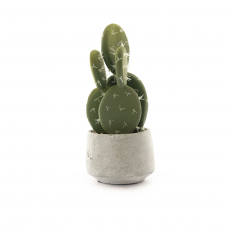 ARTIFICIAL CACTUS