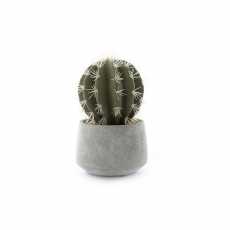ARTIFICIAL CACTUS