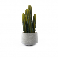 ARTIFICIAL CACTUS