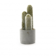 ARTIFICIAL CACTUS